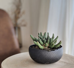 株式会社浅田漆器
山中漆器Craft green:日々の暮らしをいつくしむプラントポット。