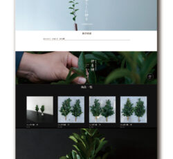 client : tsumura.,ltd